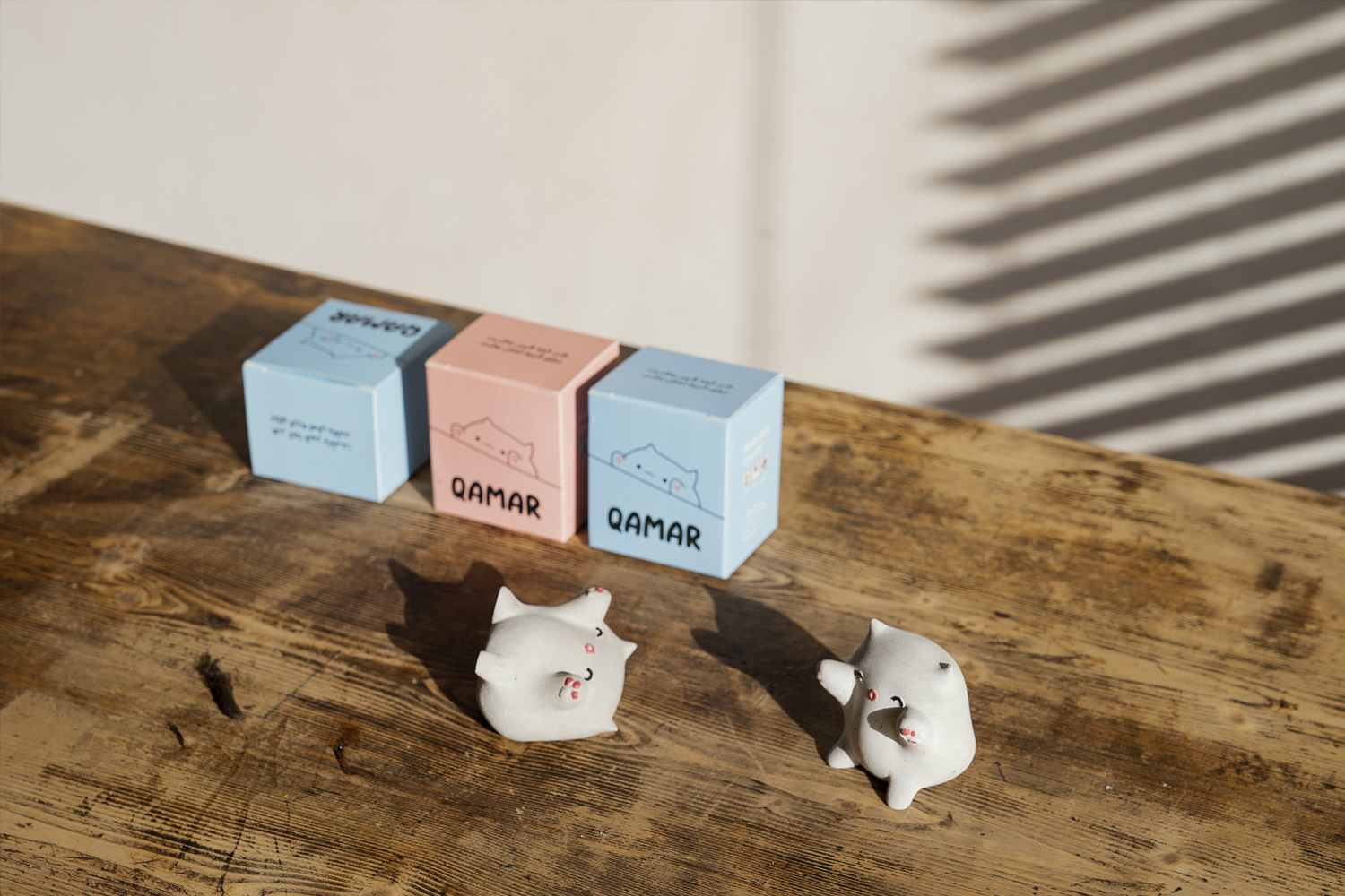 بیایید شهر را برای گربه ها امن کنیم.