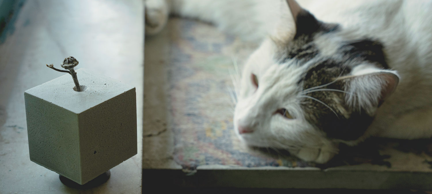 کالکشن ایران